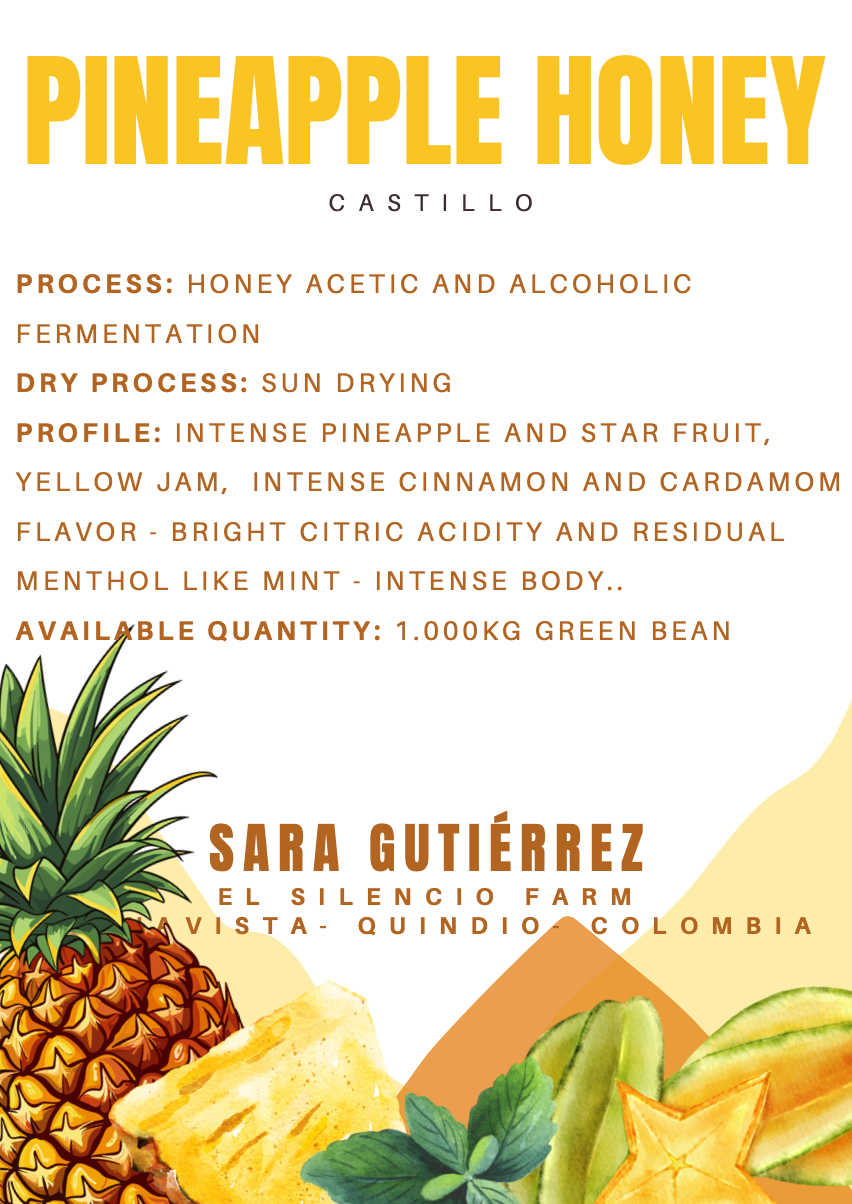 Colombian Green Coffee Beans - Pineapple Honey - Botero Coffee