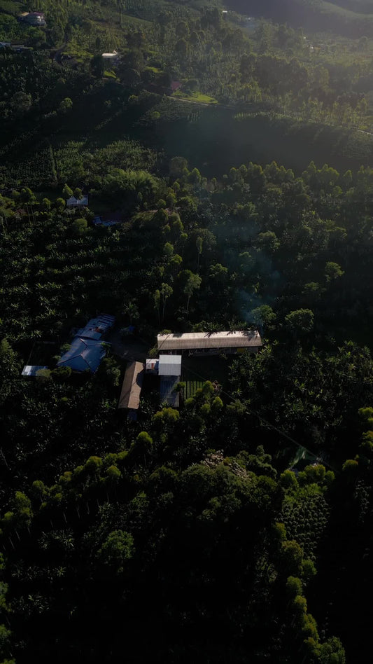 Coffee farm at golden hour from above, Huila