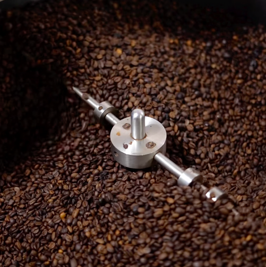 From Colombia to Your Cup: The Journey of a Botero Coffee Bean