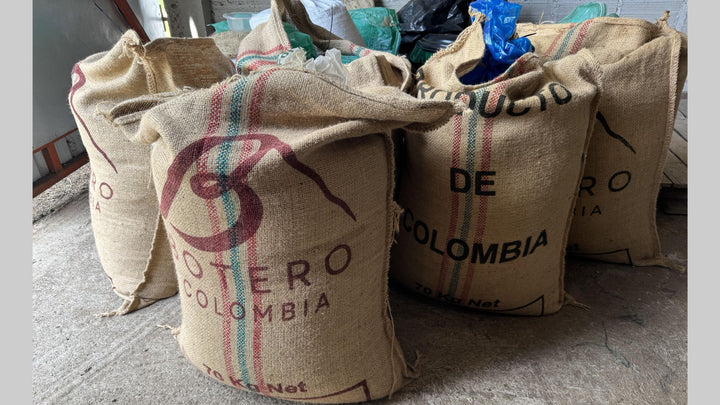 100% Colombian green coffee