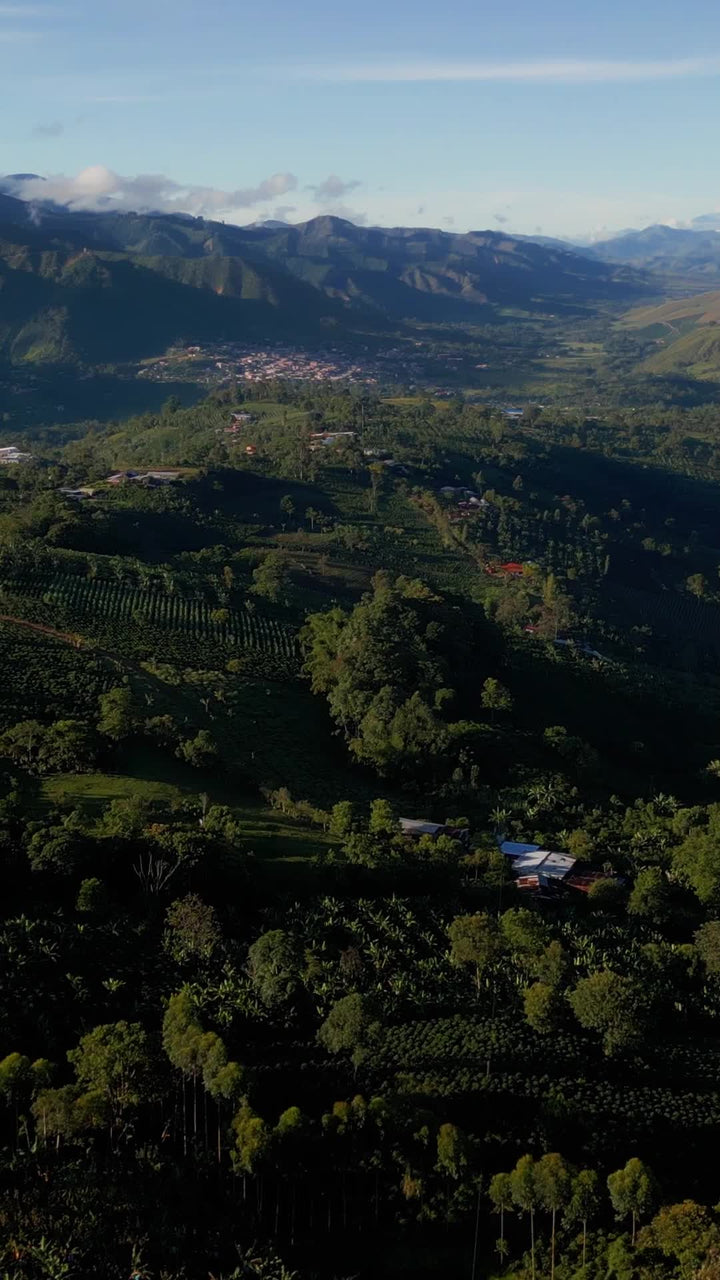 Finca Las Brisas overlooking the valley