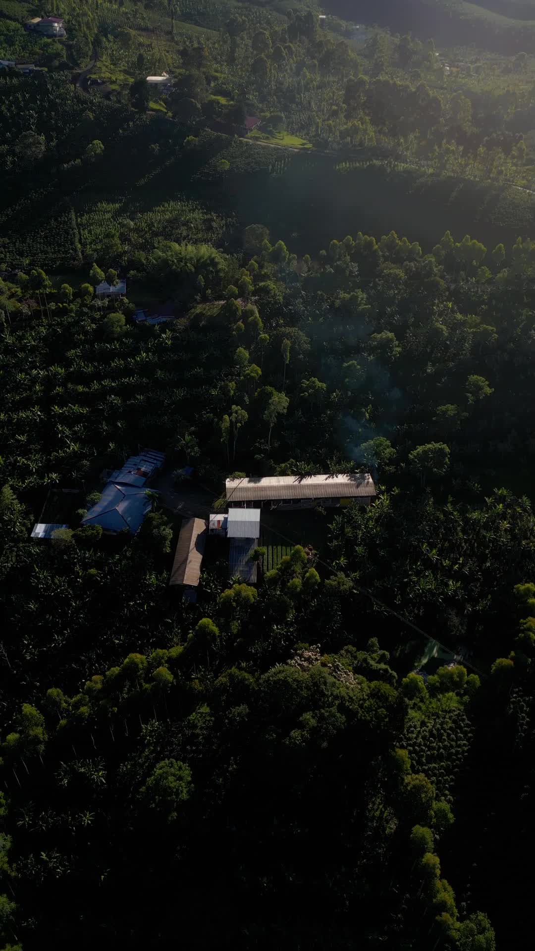 Coffee farm at golden hour from above, Huila