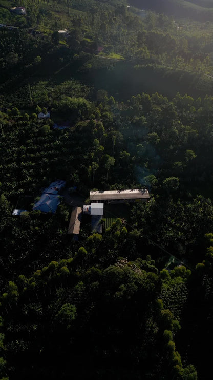 Coffee farm at golden hour from above, Huila