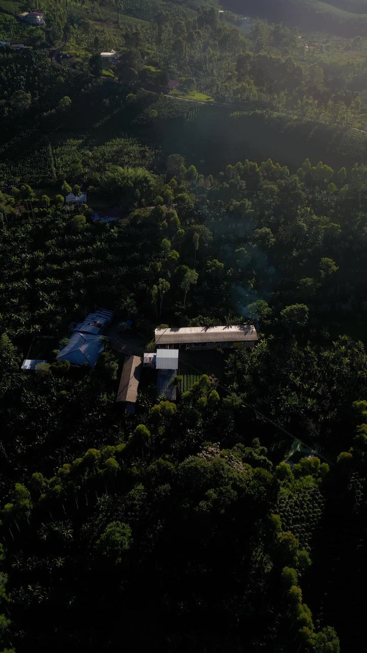 Coffee farm at golden hour from above, Huila